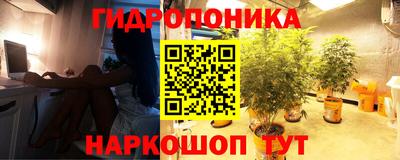 дмт Гагарин