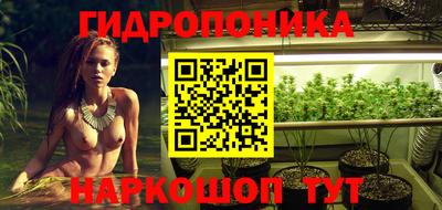 дмт Гагарин