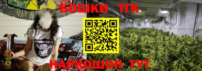 индика Гатчина