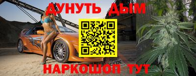 индика Гатчина