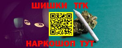 индика Гатчина