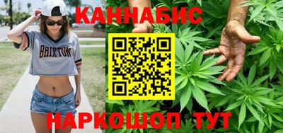 индика Гатчина