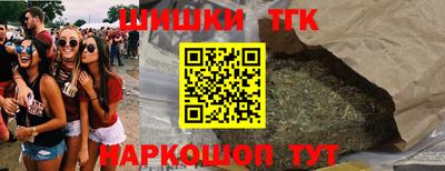 индика Гатчина