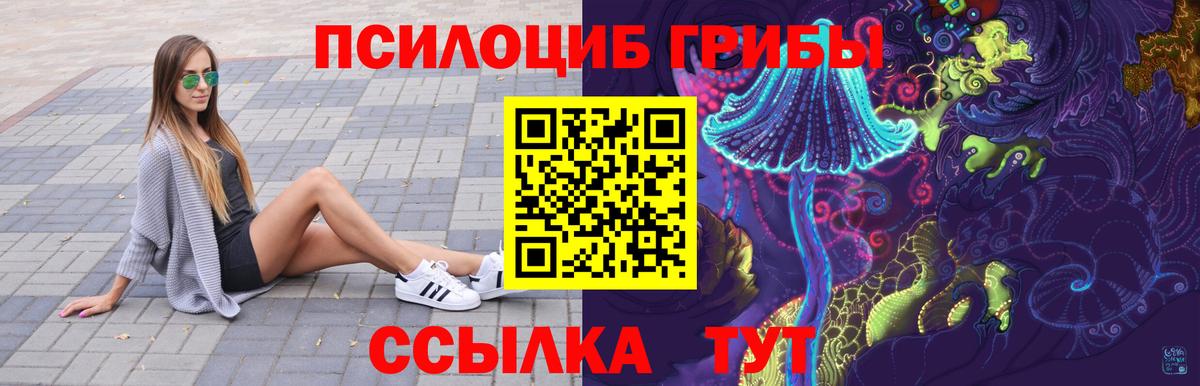 Псилоцибиновые грибы Psilocybe Долгопрудный