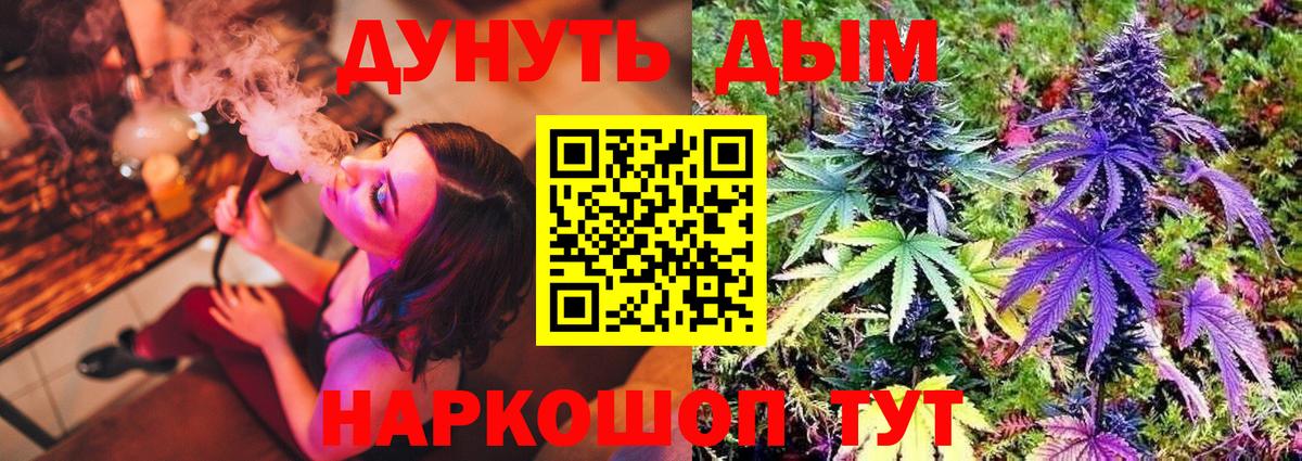 Каннабис индика  МАРИХУАНА семена  МАРИХУАНА OG Kush  Вход с VPN  Долгопрудный 
